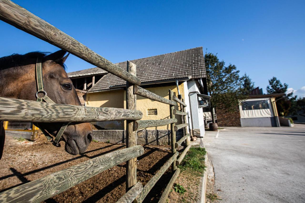 Gostilna Pugelj Novo Mesto Exterior foto